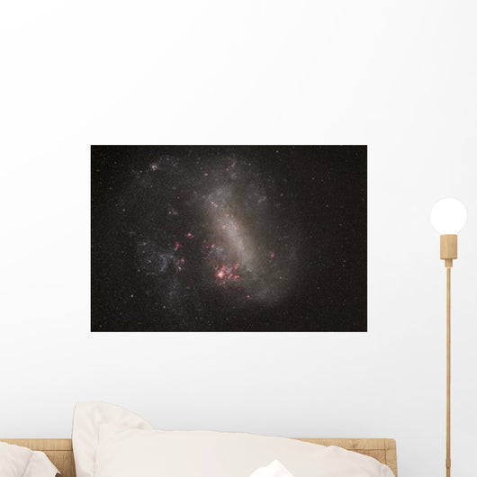 Large Magellenic Cloud Satellite Wall Decal