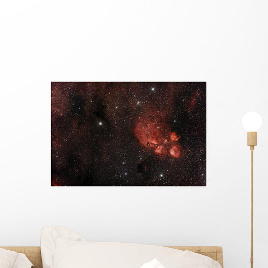 Cat's Paw Nebula Scorpius Wall Decal