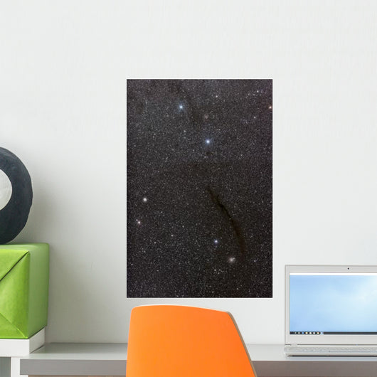 Dark Doodad Nebula Southern Wall Decal