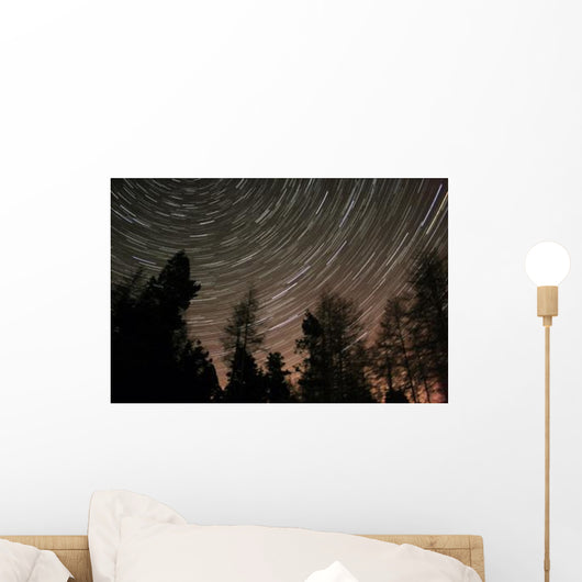 Star Trails over Trees Wall Decal