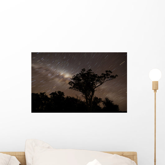 Star Trails and Milky Wall Decal
