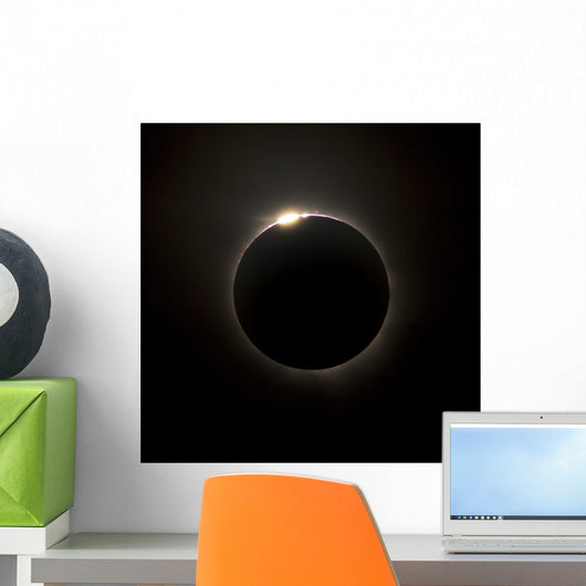 Solar Eclipse with Prominences Wall Decal
