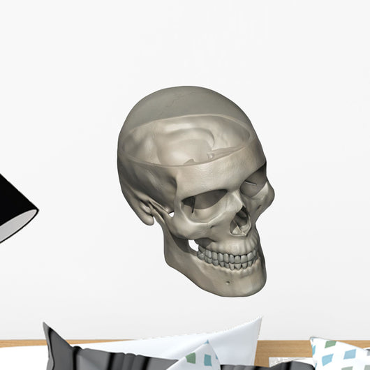 Three Quarters Human Skull Wall Decal