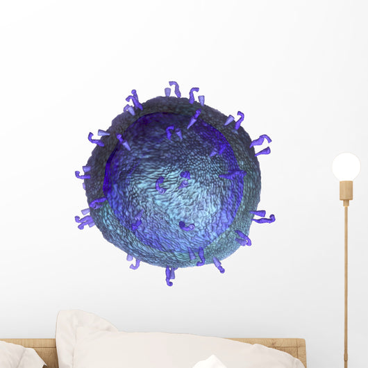3D Model T-cell Key Wall Decal