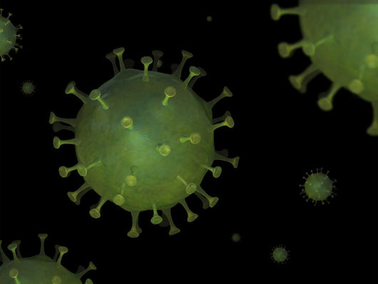 Microscopic Viruses Floating Environment Wall Decal