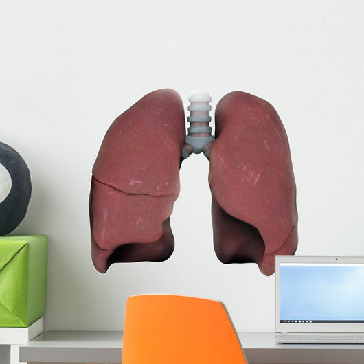 3D Model Right and Wall Decal