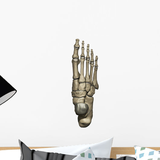 3D Model Foot Bones Wall Decal