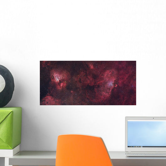 Eagle Nebula and Swan Wall Decal