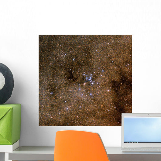 Messier 7 Ptolemy Cluster Wall Decal