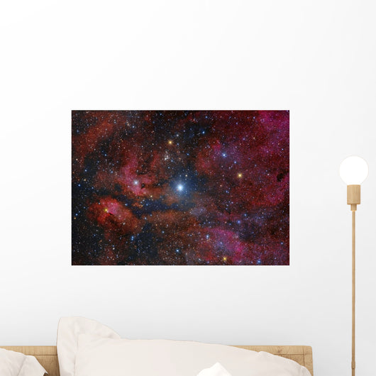 Gamma Cygni Star and Wall Decal