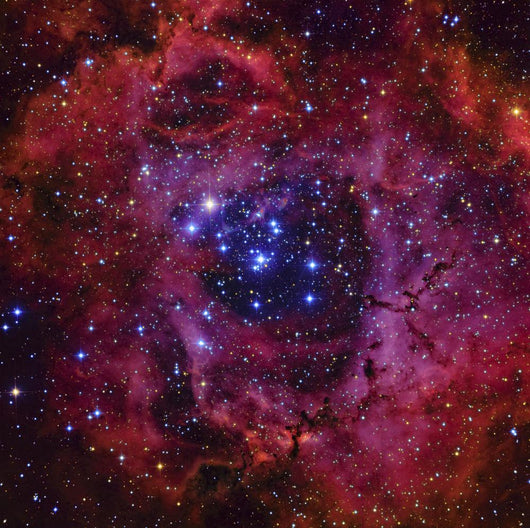 Rosette Nebula Dark Wall Decal