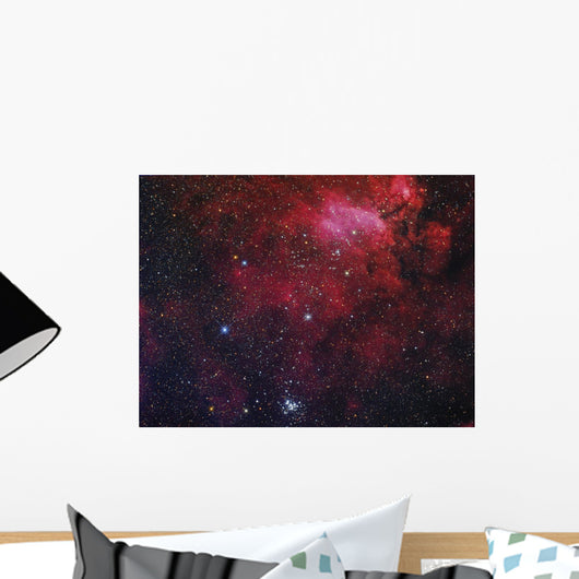 Open Cluster Ngc 6231 Wall Decal