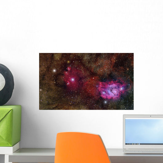 Star forming Region Ngc 6559 Wall Decal