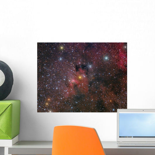 Cave Nebula and Surroundings Wall Decal