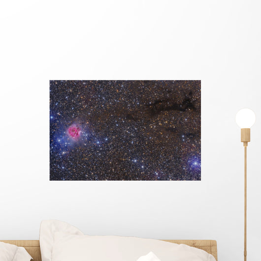 Cocoon Nebula Wall Decal