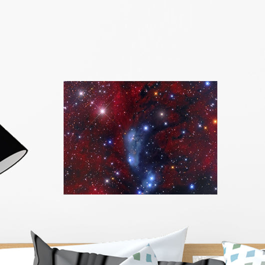 Ngc 6914 Reflection Nebula Wall Decal