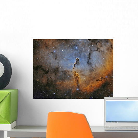 Ic 1396 Elephant Trunk Wall Decal