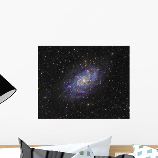 Triangulum Galaxy Distant Wall Decal