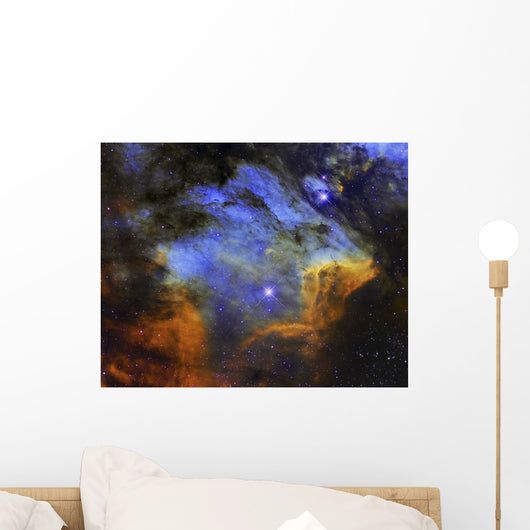 Colorful Pelican Nebula Constellation Wall Decal