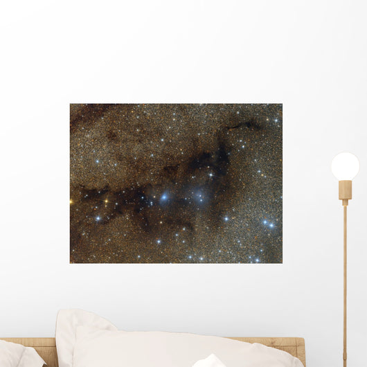 Blue Oval Reflection Nebula Wall Decal