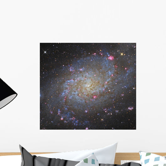 Triangulum Galaxy Wall Decal