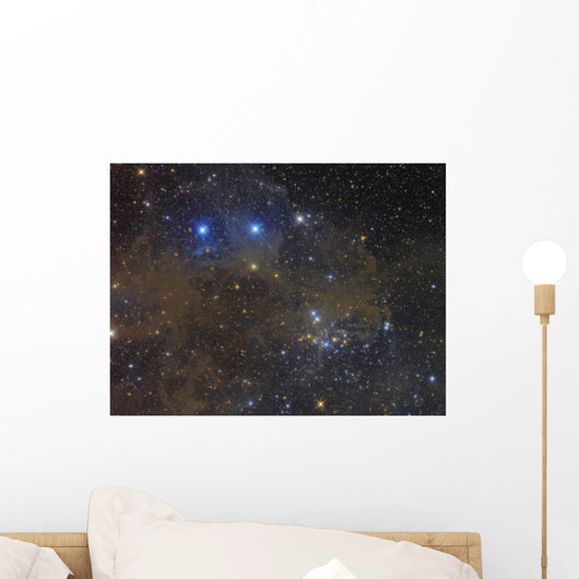Ngc 1342 Open Cluster Wall Decal