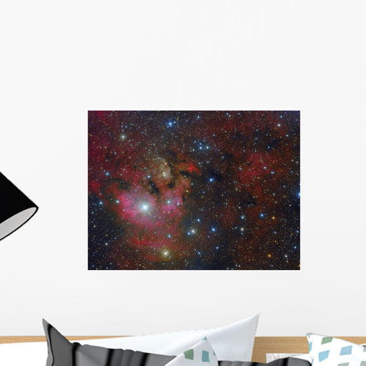 Ngc 7822 Star forming Complex Wall Decal