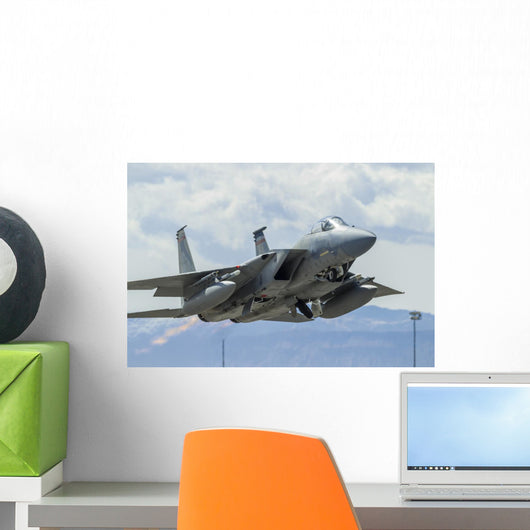 Us Air Force F-15c Nose Right Wall Decal