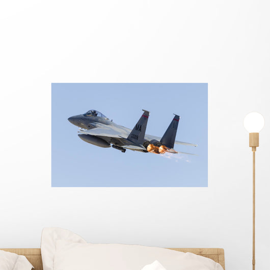 Us Air Force F-15c Left Back Wall Decal
