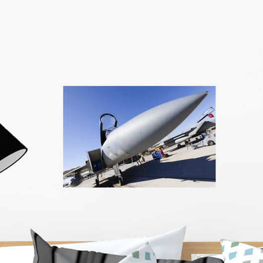 Us Air Force F-15c Nose Close-up Wall Decal