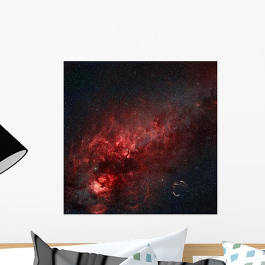 Constellation Cygnus with Multiple Wall Decal
