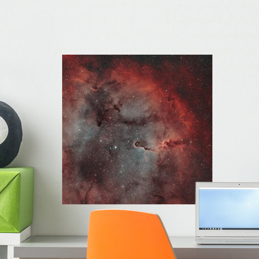 Ic 1396 Elephant Trunk Wall Decal