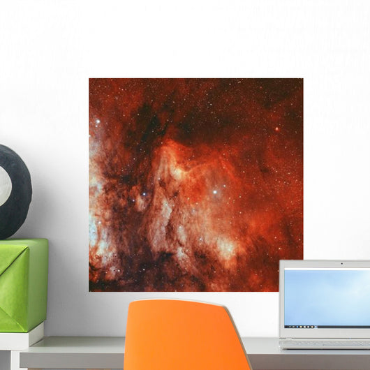 Pelican Nebula Wall Decal Design 2
