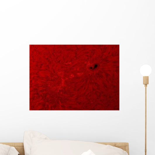 H-alpha Sun Red with Wall Decal