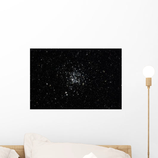 Wild Duck Cluster Constellation Wall Decal