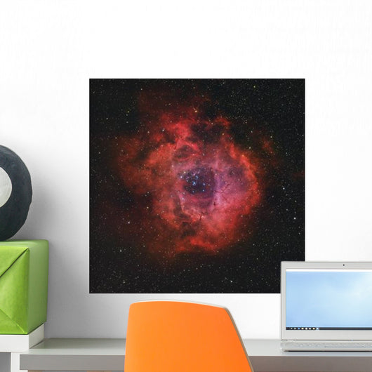 Rosette Nebula Wall Decal