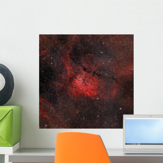 Emission Nebula Ngc 6820 Wall Decal