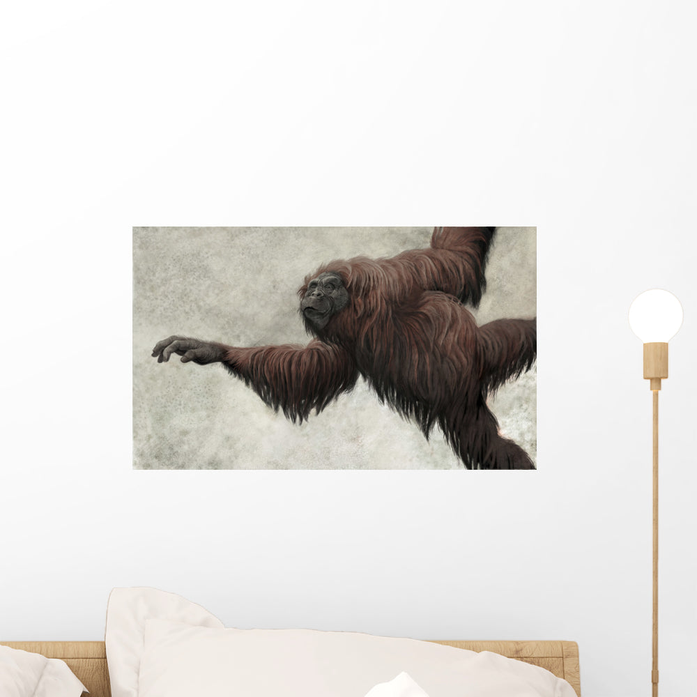Hispanopithecus Laietanus from Spanish Wall Decal