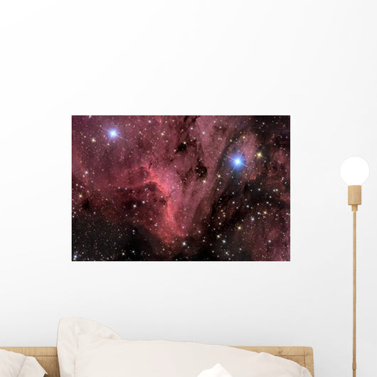 Pelican Nebula Wall Decal Design 1