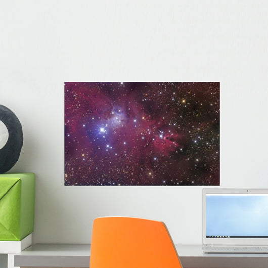 Cone Nebula Wall Decal