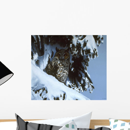 Long Eared Owl Wall Decal