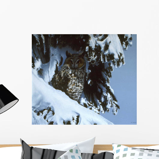 Long Eared Owl Wall Decal