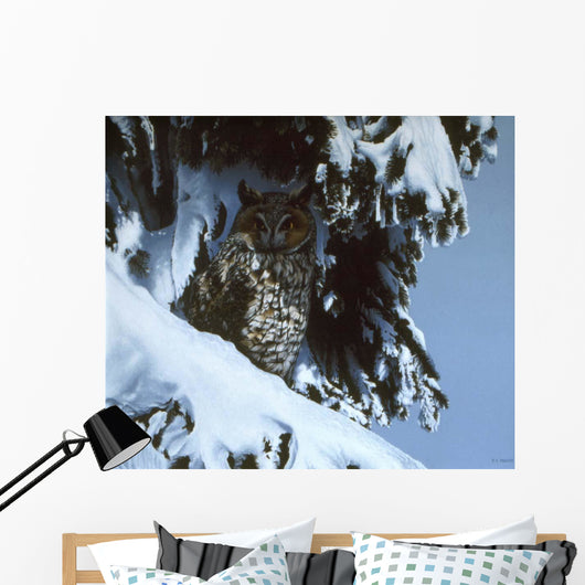 Long Eared Owl Wall Decal