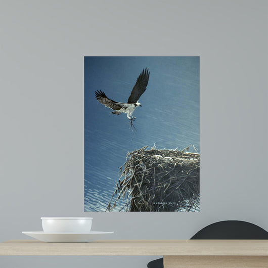 Above Lake Wall Decal