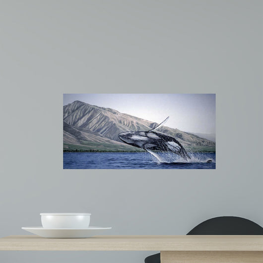 Breeching Humpbacks Maui Wall Decal