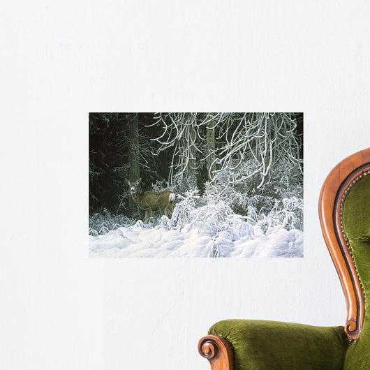 Snow Palace Mule Deer Wall Decal