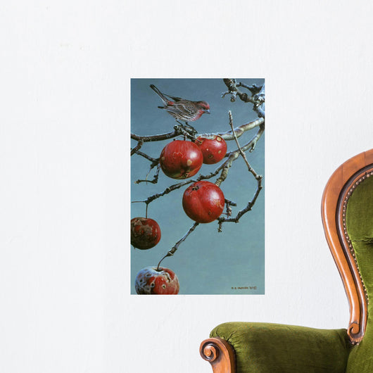Winter Apples Purple Finch Wall Decal