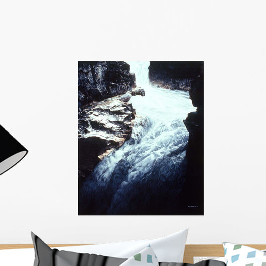 Dipper Wall Decal