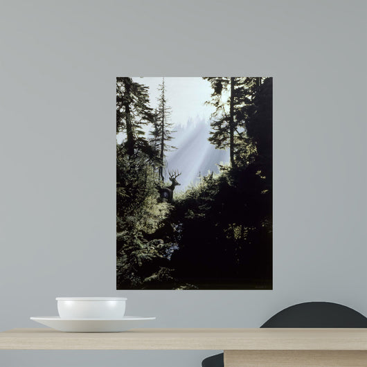 Edge Forest Wall Decal