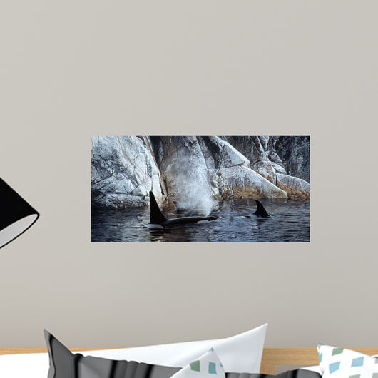 Deep Water- Orcas Wall Decal